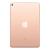 iPad Mini 5 7.9 Wi-Fi 256GB (Gold)