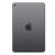 iPad Mini 5 7.9 Wi-Fi 256GB (Grey)