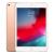 iPad Mini 5 7.9 Wi-Fi 4G 256GB (Gold)