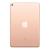 iPad Mini 5 7.9 Wi-Fi 64GB (Gold)
