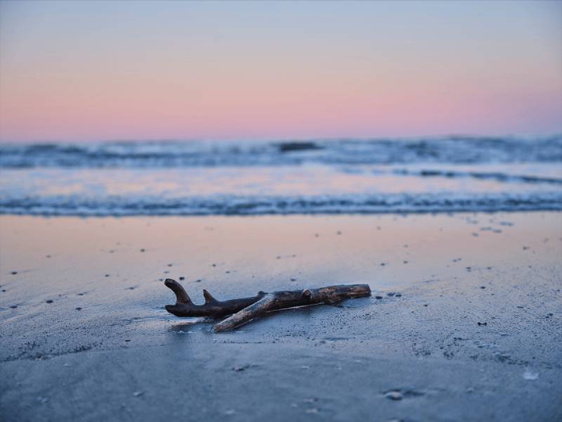 Fujifilm GFX 100S sở hữu khả năng quay Video Pro thời thượng