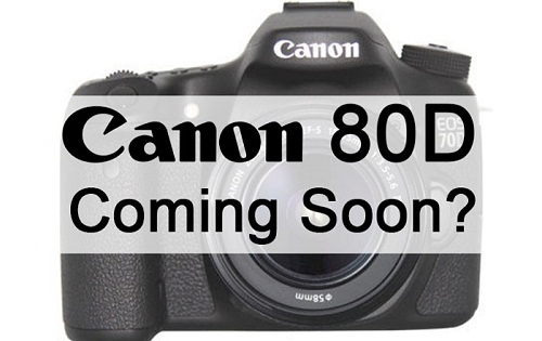 5 anh em cùng họ Canon sắp xuất hiện 