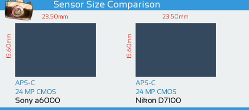 Sony A6000 và Nikon D7100: Bỏ ai chọn ai?