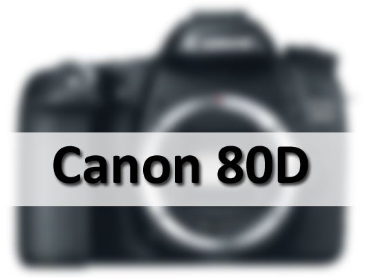 Canon 80D: Phiên bản thay thế hoàn hảo của Canon 70D