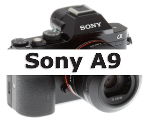 Có thể máy ảnh Sony A9 sẽ có khả năng chụp RAW liên tục