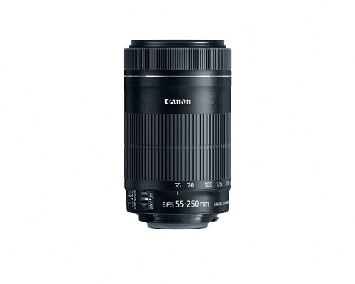 4 ống kính giá rẻ tốt nhất dành cho Canon DSRL