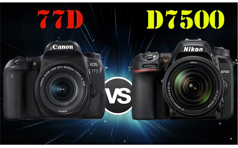 Cùng xem cuộc so găng giữa Canon 77D và Nikon D7500