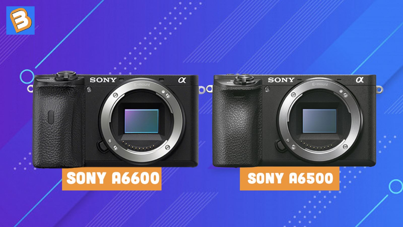 So sánh Sony A6600 và Sony A6500