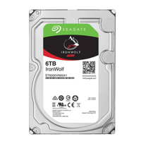 Ổ Cứng Seagate 6TB IronWolf Server SATA 6Gbps/256MB Cache/7200rpm/3.5 ST6000VN00