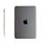 iPad Mini 5 7.9 Wi-Fi 4G 64GB (Grey)