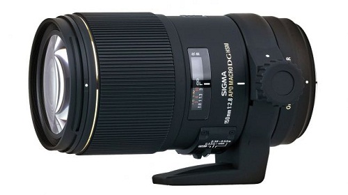 5 ống kính macro tốt nhất cho DSLR của Canon