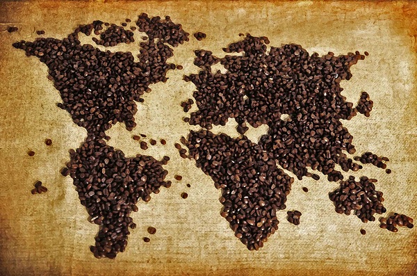 Hành trình hạt cà phê đi khắp thế giới (Phần I)