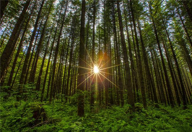 Ống Kính Canon ef 16-35mm f/2.8L III USM (Hàng Nhập Khẩu)