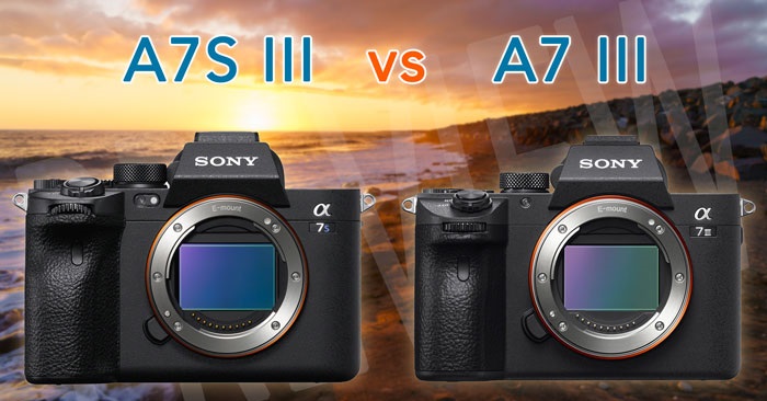 Sony A7S Mark III khác gì A7 Mark III?