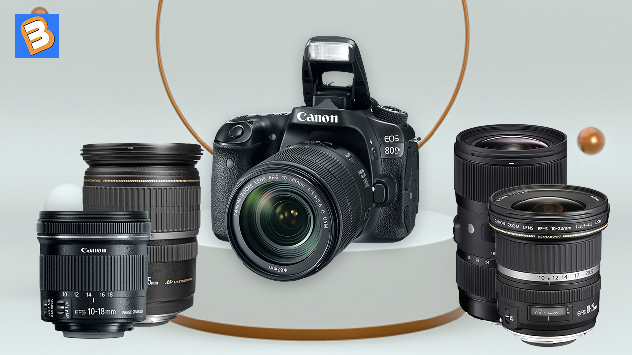 Tư vấn chọn mua ống kính tốt nhất cho máy ảnh Canon EOS 80D